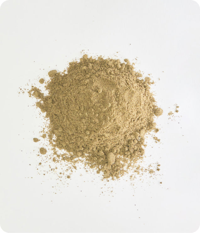 Hemp Protein - 20Kg